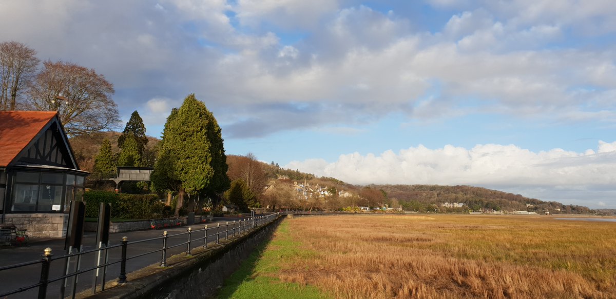 Beth Pipe tweet media