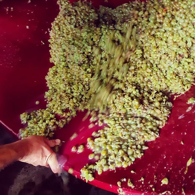 Ca' del Brado tweet media