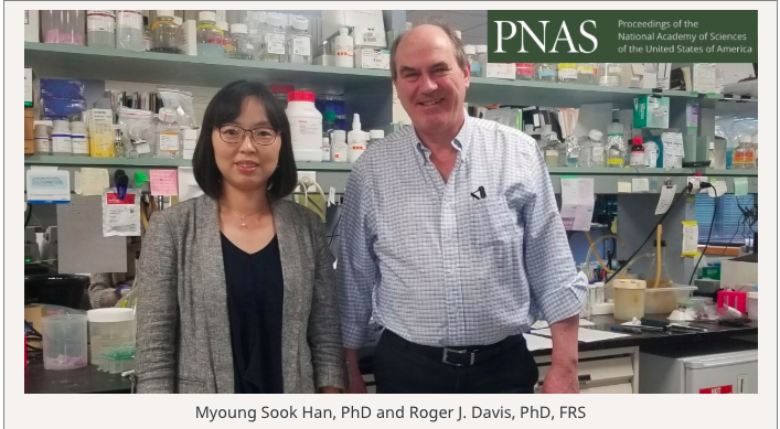 Davis Lab (@rdavislab) on Twitter photo Davis Lab study sheds light on complications from high blood glucose and excess body fat which lead to type 2 diabetes tinyurl.com/qubl3f4
<a href="/RogerJDavis1/">Roger J Davis</a> @UMassMedical @GSBS_UMassMed Davis Lab study sheds light on complications from high blood glucose and excess body fat which lead to type 2 diabetes tinyurl.com/qubl3f4
<a href="/RogerJDavis1/">Roger J Davis</a> @UMassMedical @GSBS_UMassMed