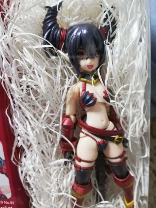 今日のわんへすでお迎えしたこの子、とってもかわいいので明日お写真でもとってみようかな・・・ 