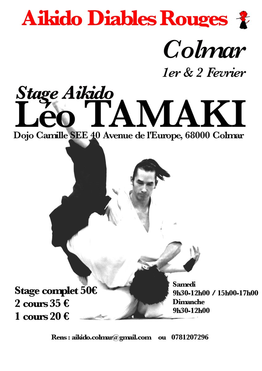 Stage Leo TAMAKI by aikido Colmar Diables Rouges aikido-colmar.net/2020/02/09/sta…