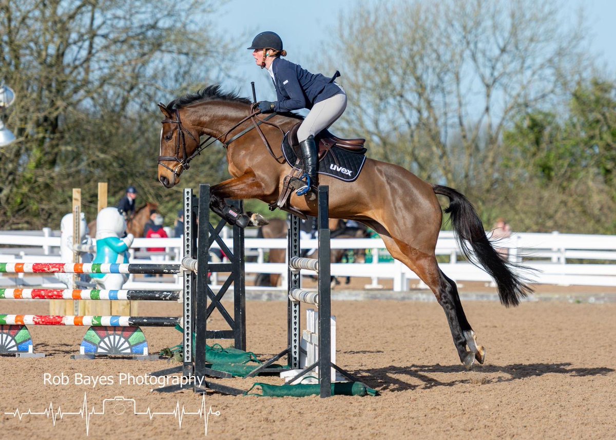 ParkfieldBreed's tweet image. This is rising 5yr old Parkfield Folies Bergere (Foaly Burger 🍔 to her friends) &amp;amp; @FHEventing making a lovely shape ......this home bred is a lovely eventing stamp with 80% TB blood and a World Class SJ dad 🥰