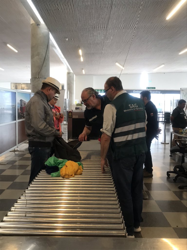 VtpValpo's tweet photo. Hoy arribó a Valparaíso el crucero MSC Magnifica con 2.187 pasajeros. Más de 1.300 están en tours en los distintos atractivos que ofrece la región. Con esta nave en solo siete días como terminal de pasajeros hemos atendido más de 5.500 turistas con la calidad que nos caracteriza. https://t.co/Vr6tRe3lxZ