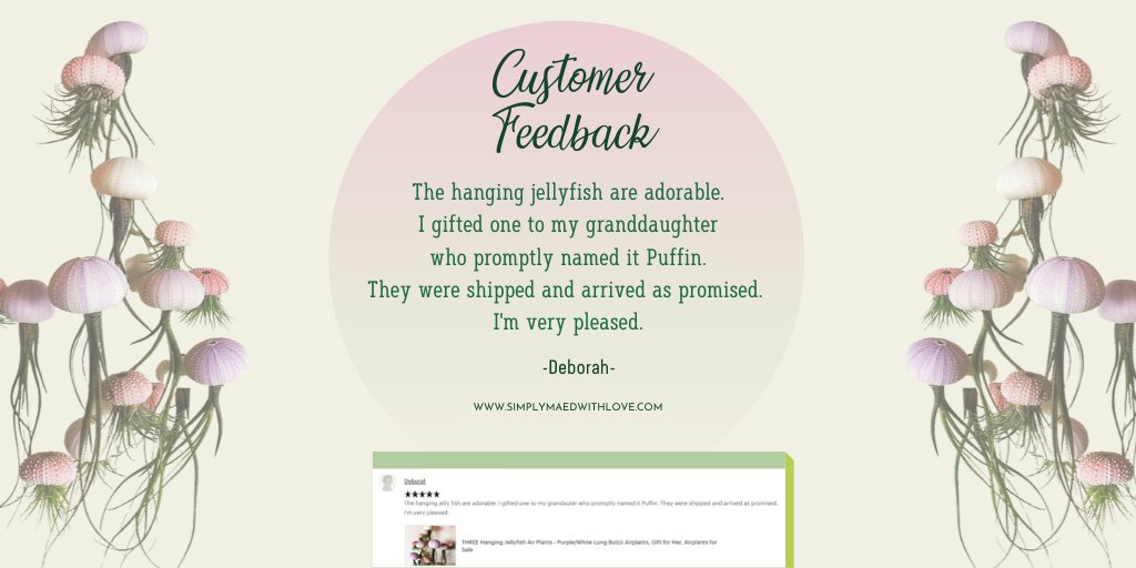 SimplyMAEdwLove's tweet photo. Are you looking for something unique to be hanged in your house?
Try our hanging jellyfish air plants. Thank you @deborah for choosing one of our collections as a gift to your granddaughter. Hoping for another transaction with you.

#satisfiedcustomer #qualityproducts https://t.co/SUPNoRxkGr