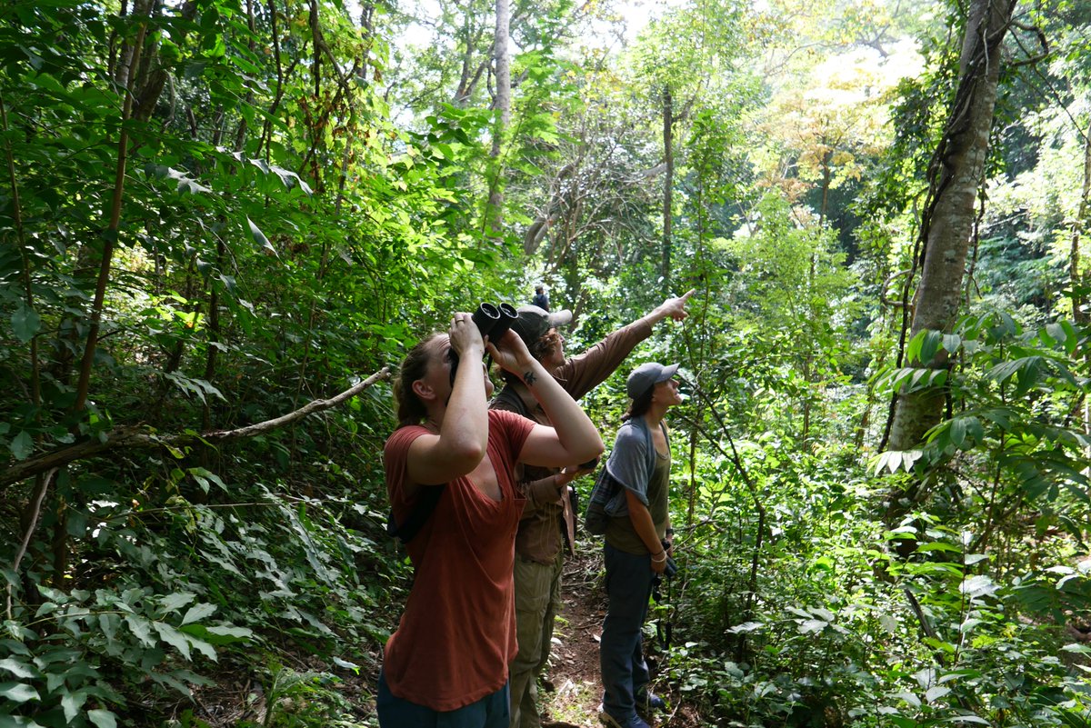 pasopacifico's tweet photo. The forests of #OrienteSalvaje #ElSalvador contain the country's highest concentrations of endangered Pacific mahogany tress. @AdetcoS, Soc. Salvaje, @pasopacifico are leading efforts to protect El Salvador's #WildEast by establishing a #WorldSurfingReserve through @SaveTheWaves https://t.co/hboUWeBXq6