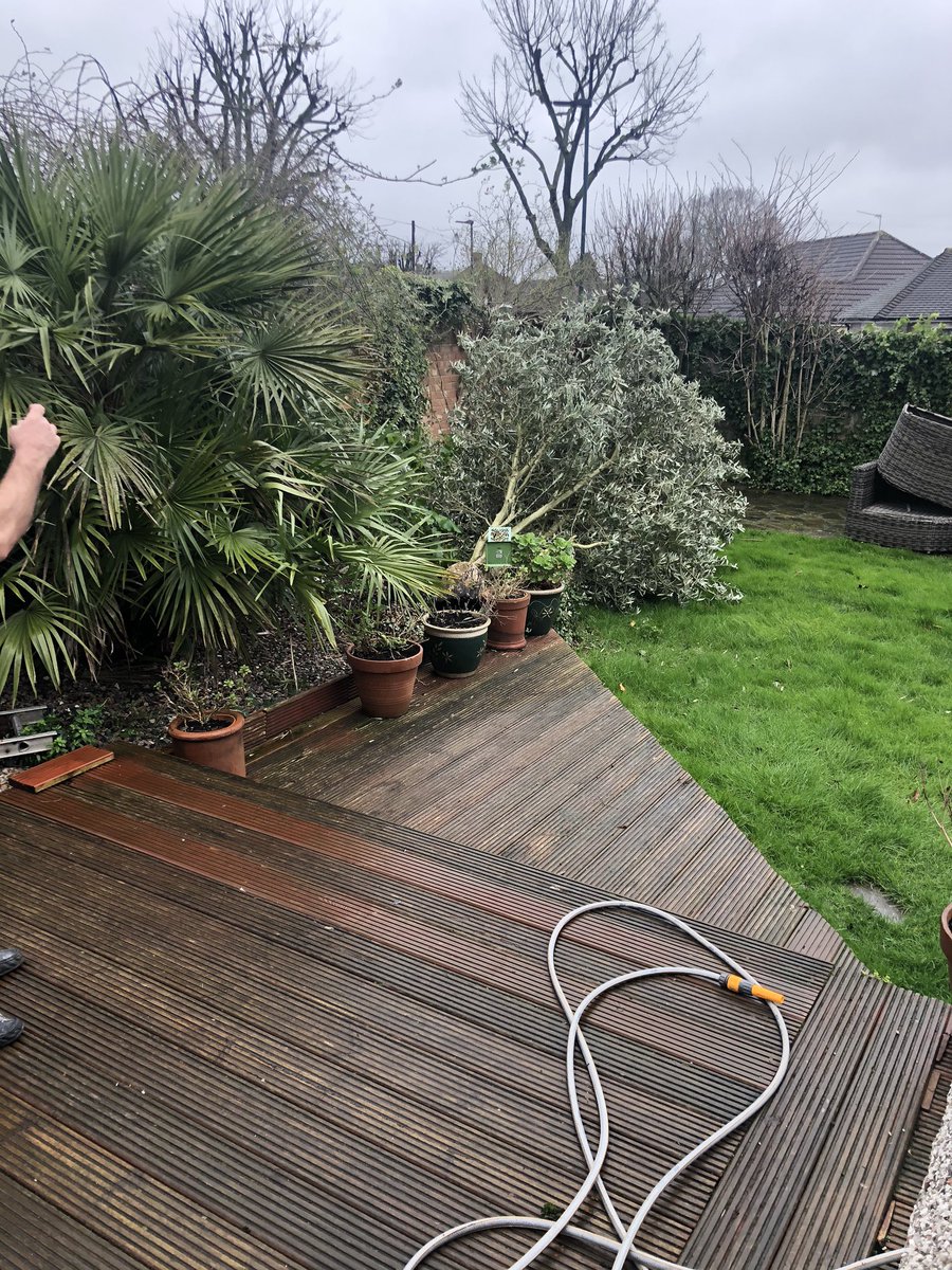 TJLGKL's tweet photo. Lost my beautiful 20ft olive tree took 16years to grow 😢#StormCiara https://t.co/pkNo433r0L