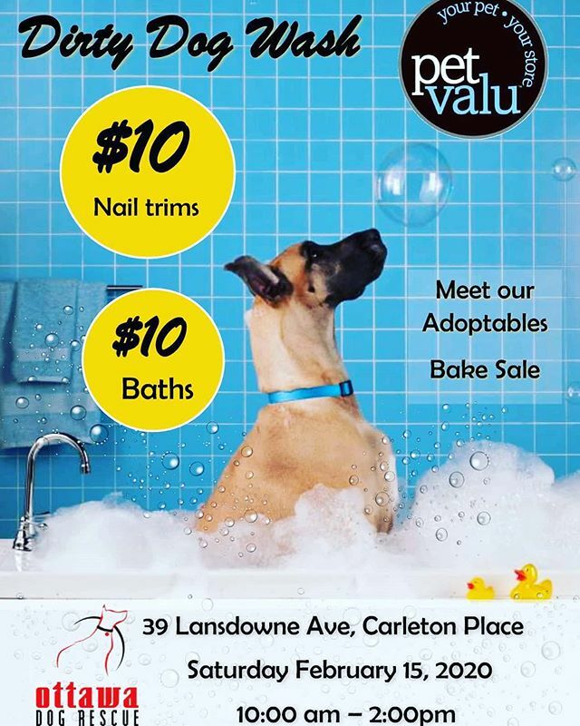 Ottawa Dog Rescue on Twitter "Happening next Saturday, February 15