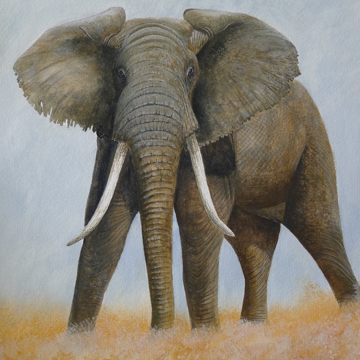 Peter__Williams's tweet photo. Unedited picture of watercolour painting by the late Peter Williams. The picture was done before or after the previous post. (2010) 
. 
#elephant
#wildlifeart 
#watercolorpainting 
#wildlifeartist 
#watercolor 
#wildlifepainting 
#wildlifepaintings
#nature 
#art
#artist https://t.co/HDhfaMALfC