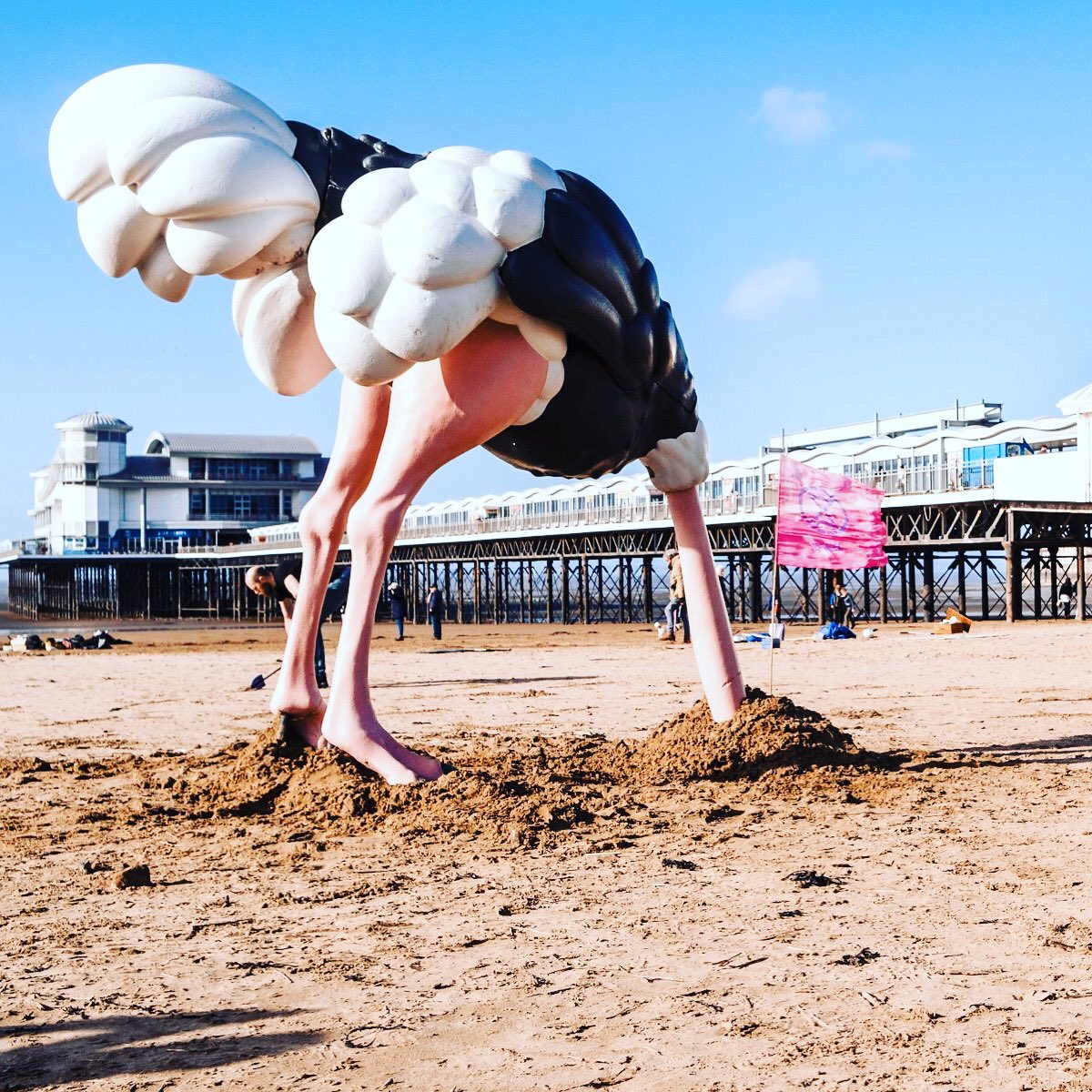 Gets your heads out of the sand! ✈️ Yesterday XR Bristol installed a 3.5 metre ostrich in Weston Super Mare 🏖 which is still less bizarre than #airportexpansion.