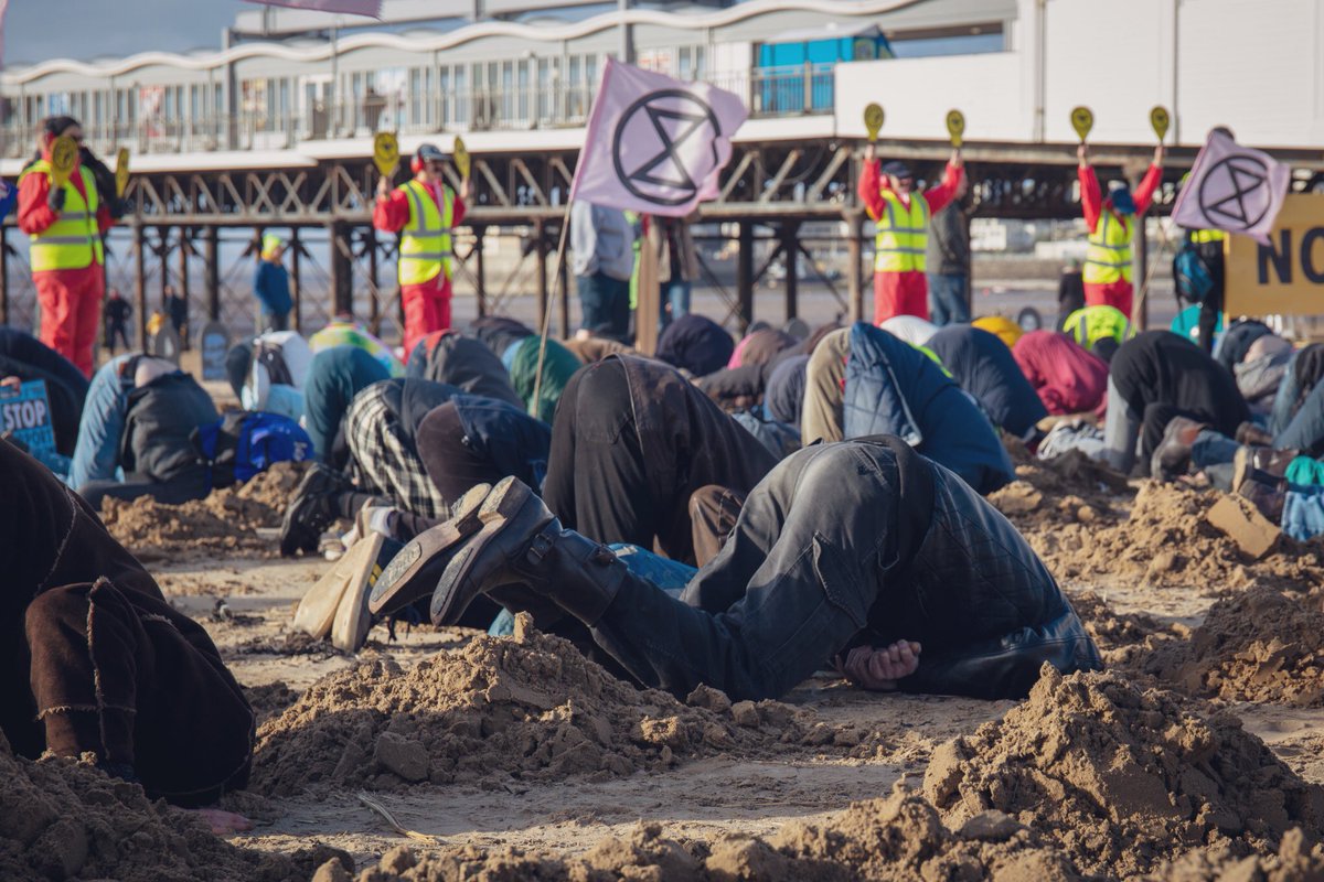 View image on Twitter