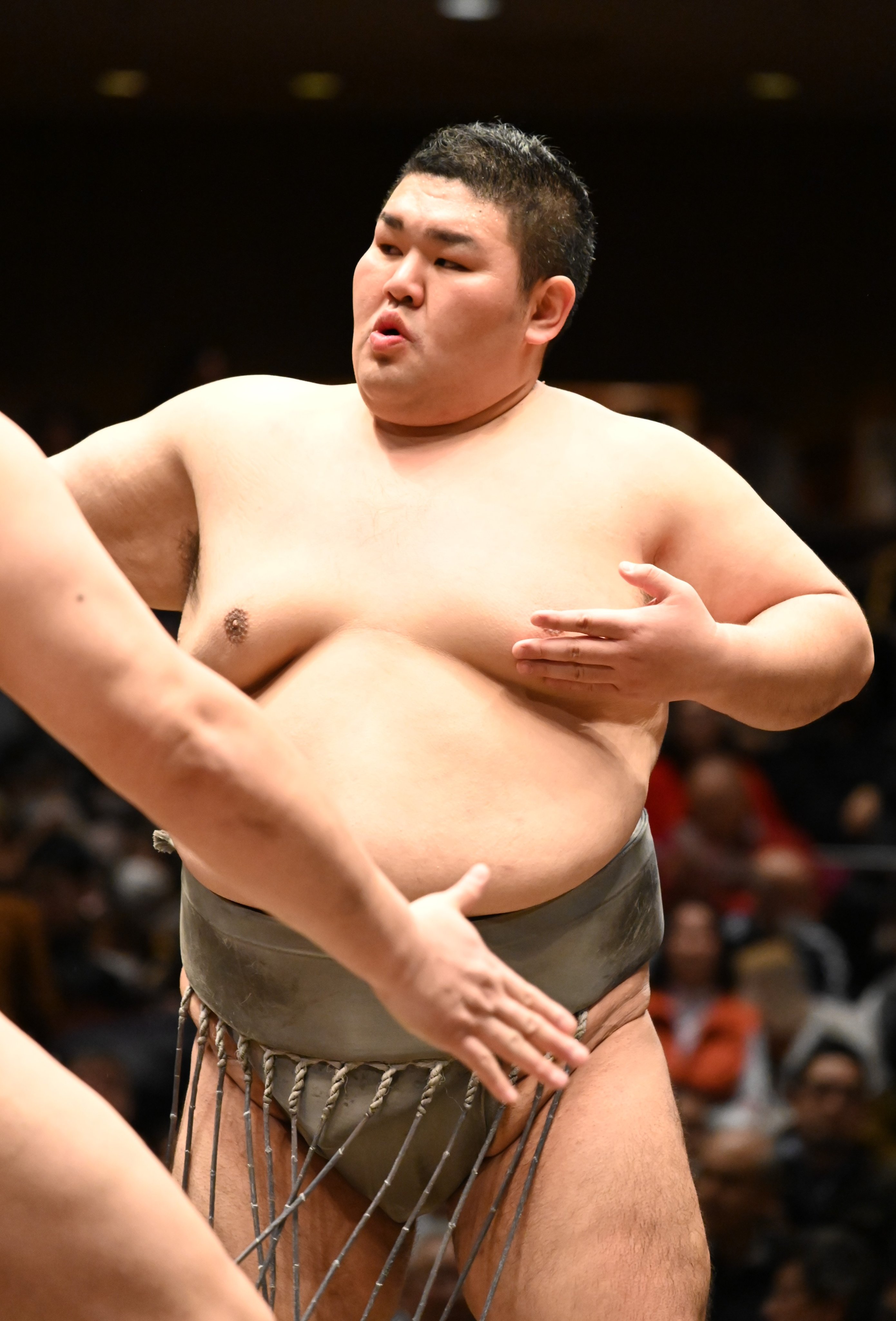 ゲオ公式通販サイト/ゲオオンラインストア【中古】日本相撲協會