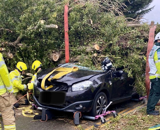 View image on Twitter