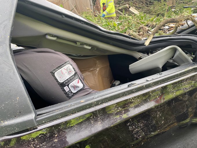 View image on Twitter