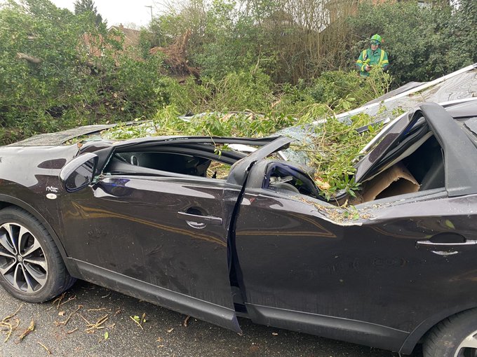 View image on Twitter