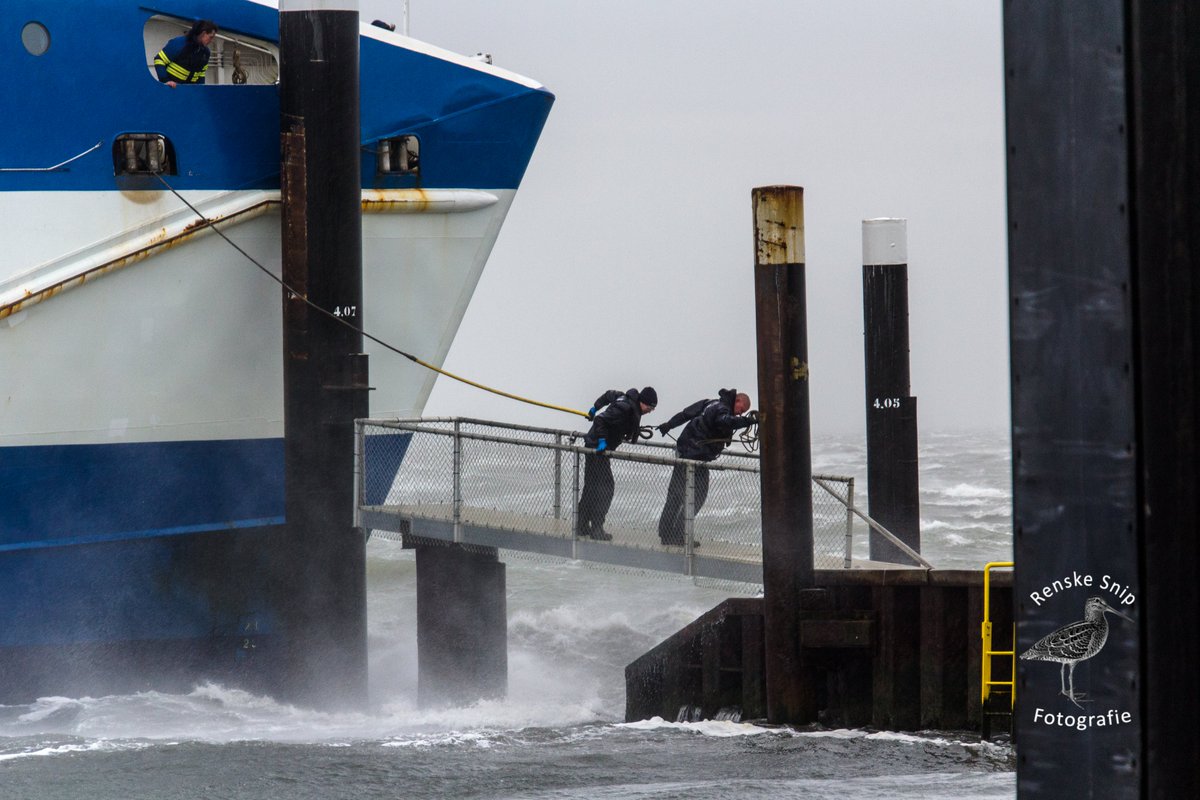 Met vereende krachten wordt ms Vlieland aan de wal vastgelegd. NU is het wachten tot de storm gaat liggen #laatsteafvaartvandaag #stormciara #ciara #Vlieland #veerdienst (credits foto: Renske Snip)