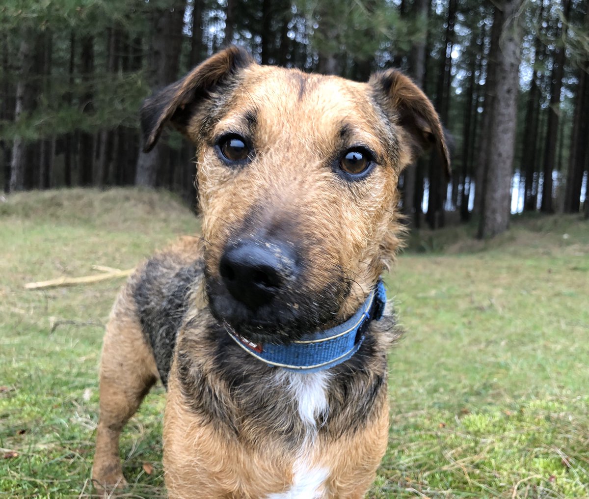 freshwalks's tweet image. Another glorious walk on the Gower Peninsula on Friday with @RedRockInt as we explored the unique wilderness of Cwm Ivy and Whiteford Sands. Thanks to @4theRegion for supporting and we’ll see you all again in the Brecons in May (date tbc).