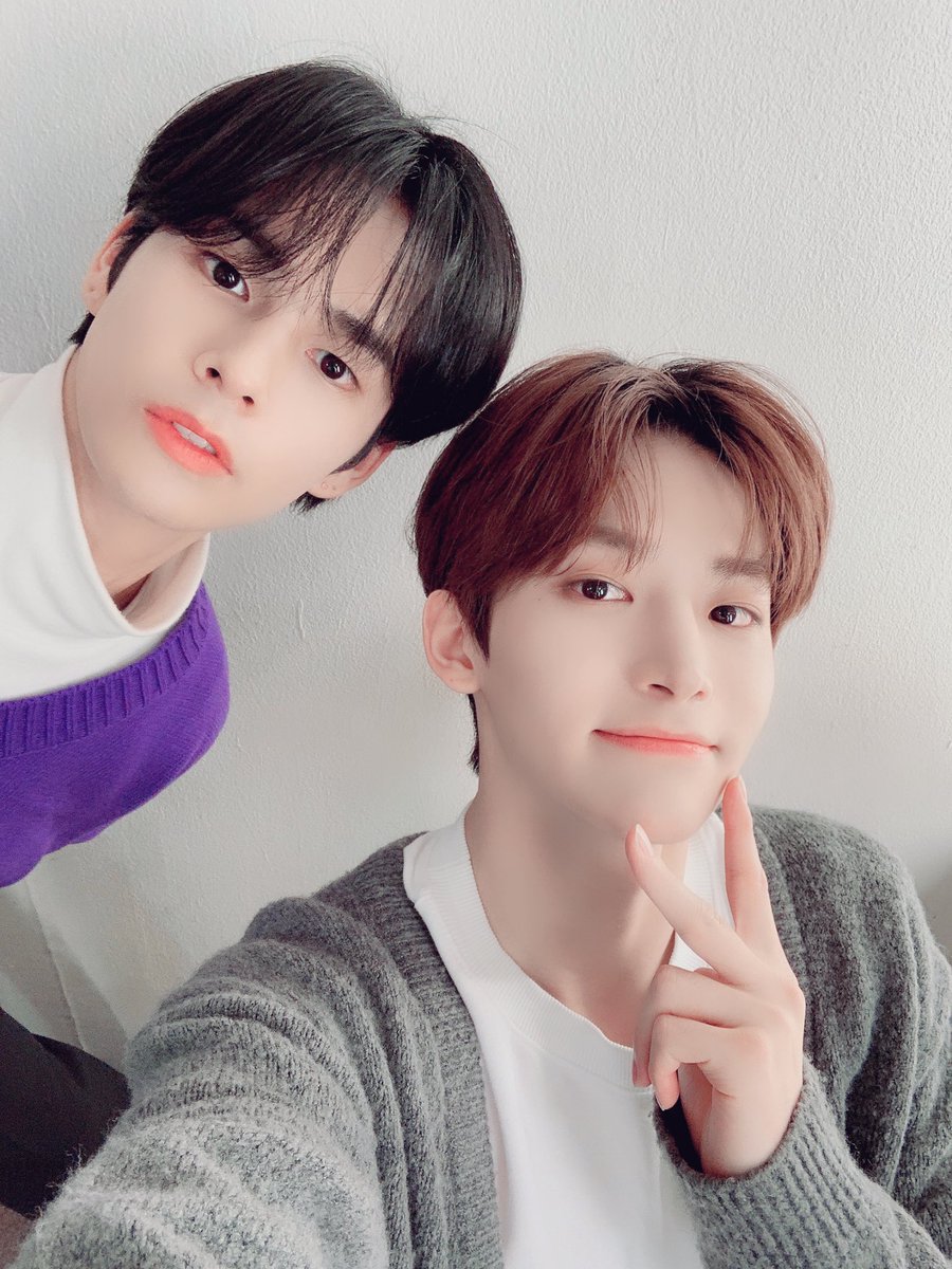 STARSHIPZ tweet media
