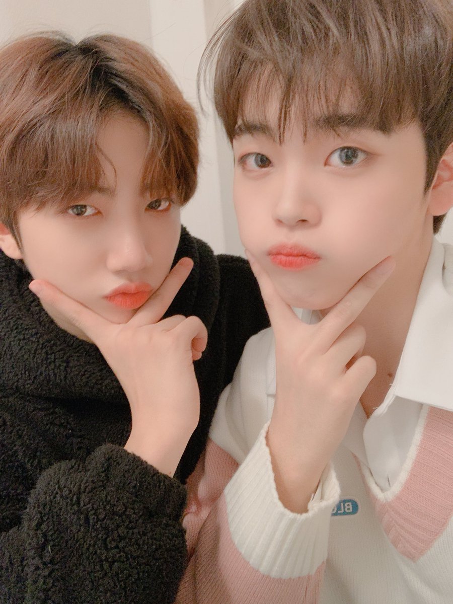 STARSHIPZ tweet media