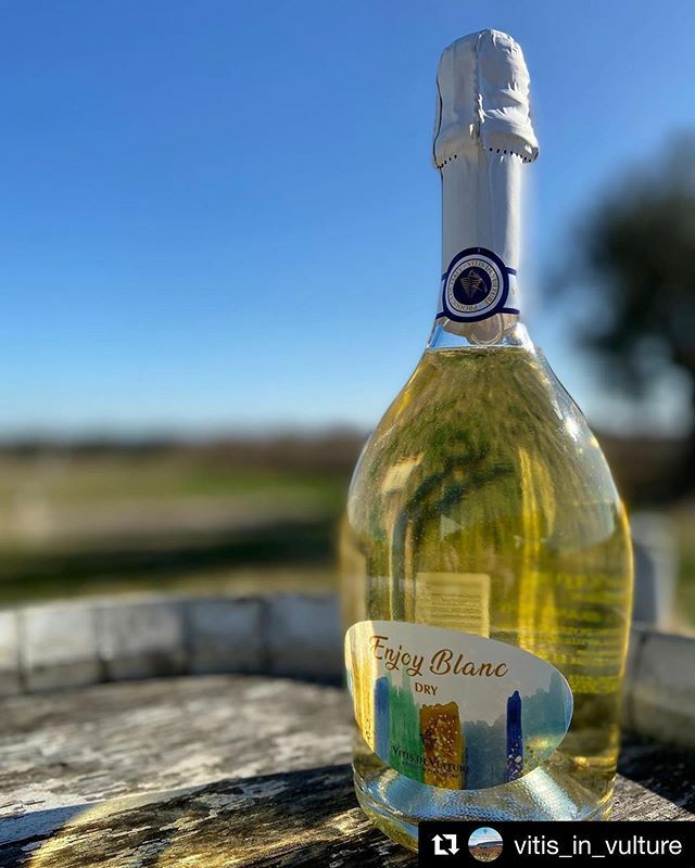 ComeToBas's tweet photo. #Repost @vitis_in_vulture with @get_repost
・・・
A completare la linea degli spumanti arriva l’Enjoy Blanc 🍾, cuvée Chardonnay-Fiano ottenuto da un’accurata selezione in vigneti situati nella zona collinare del Vulture 🏔 a 600 mt
.
.
.
#vitisinvulture #viticoltoriperpassio… https://t.co/eM7Gbj4mue