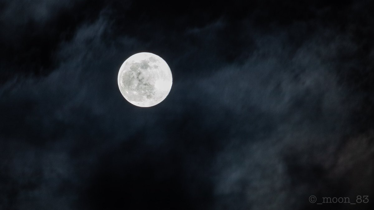 _moon_83's tweet photo. 200209 오늘 보름달 달사진 🌕 https://t.co/p2UC10J0Kx