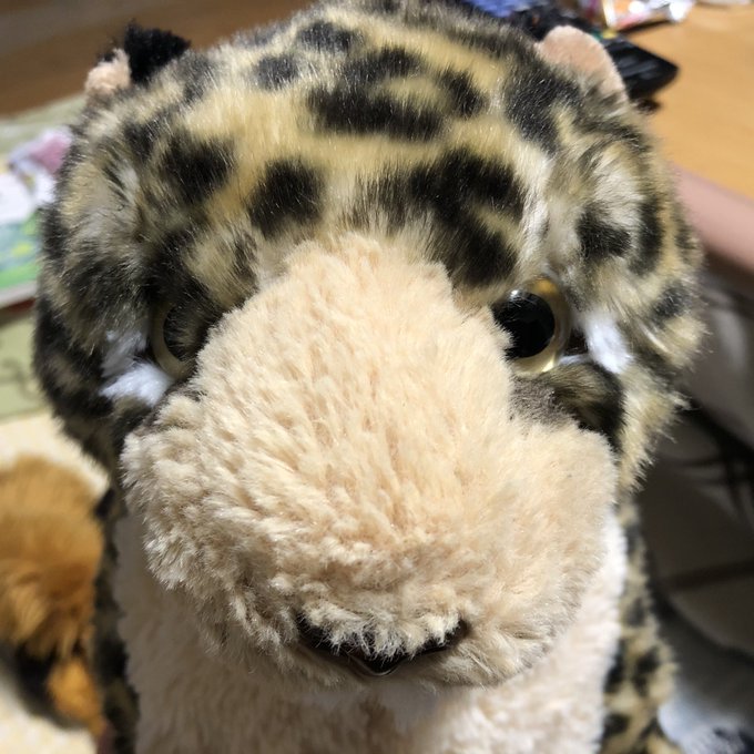 ひざひょうのtwitterイラスト検索結果