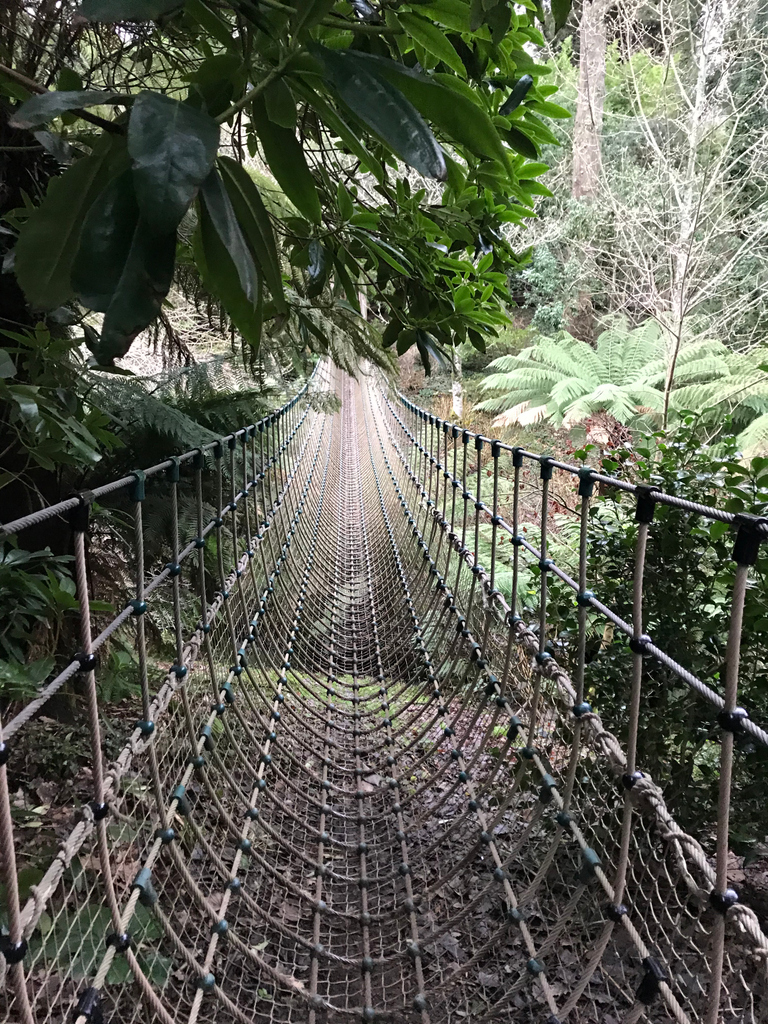 Cornish Riviera tweet media