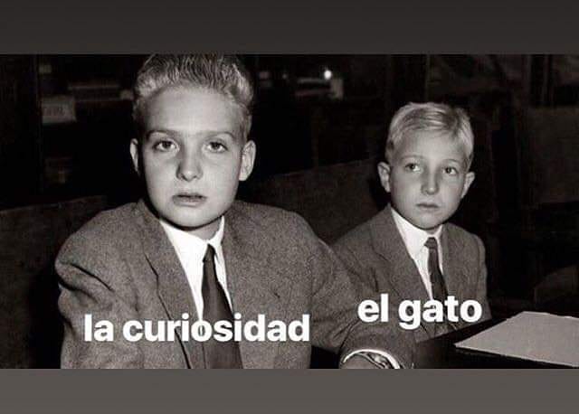 Toni L. Loncà tweet media