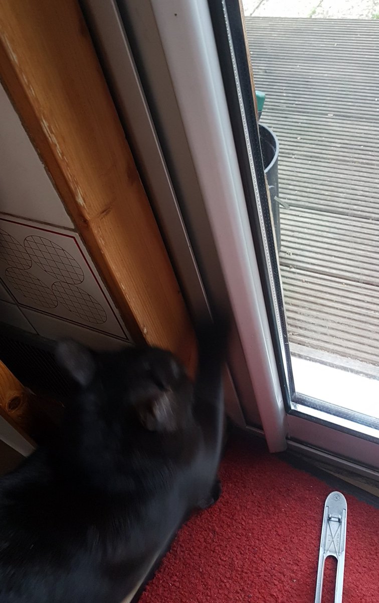 OmegaCat4's tweet image. Je suis très nervée que j'ai pas le droit de sortir cause de l'alerte des oranges et du temps qui pète, alors j'ai un peu démonté la porte.

En même temps les oranges j'aime pas trop trop ça.