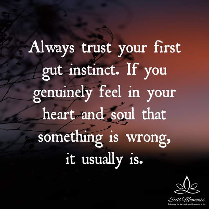 Springbokwalker's tweet image. 