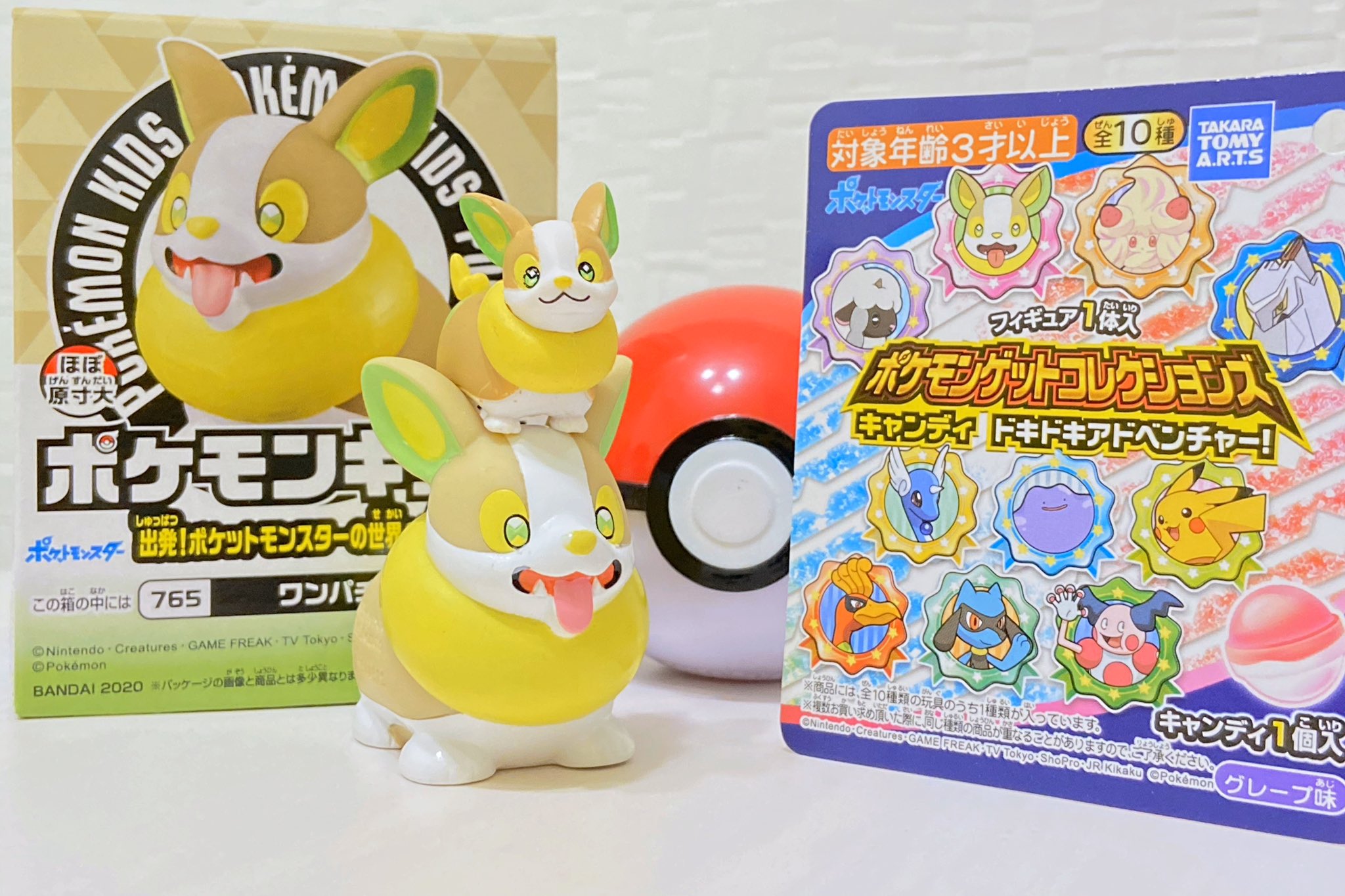 ヒノッチ ワンパワンパッ ポケモンキッズ と ポケモンゲットコレクションズ のワンパチお迎えしたよー このお口閉じたおすまし顔すき コロッとちっちゃくてかわいぬぬわんっ T Co Uwsd61msyg Twitter