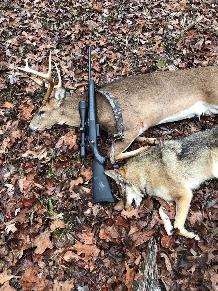 BucksInTheMuck (@bucksmuck) on Twitter photo Wade from Alabama had a great day with this nice 7 point buck and yote to boot!! Congratulations!! Thanks for sharing <a href="/BucksMuck/">BucksInTheMuck</a>! Wade from Alabama had a great day with this nice 7 point buck and yote to boot!! Congratulations!! Thanks for sharing <a href="/BucksMuck/">BucksInTheMuck</a>!
