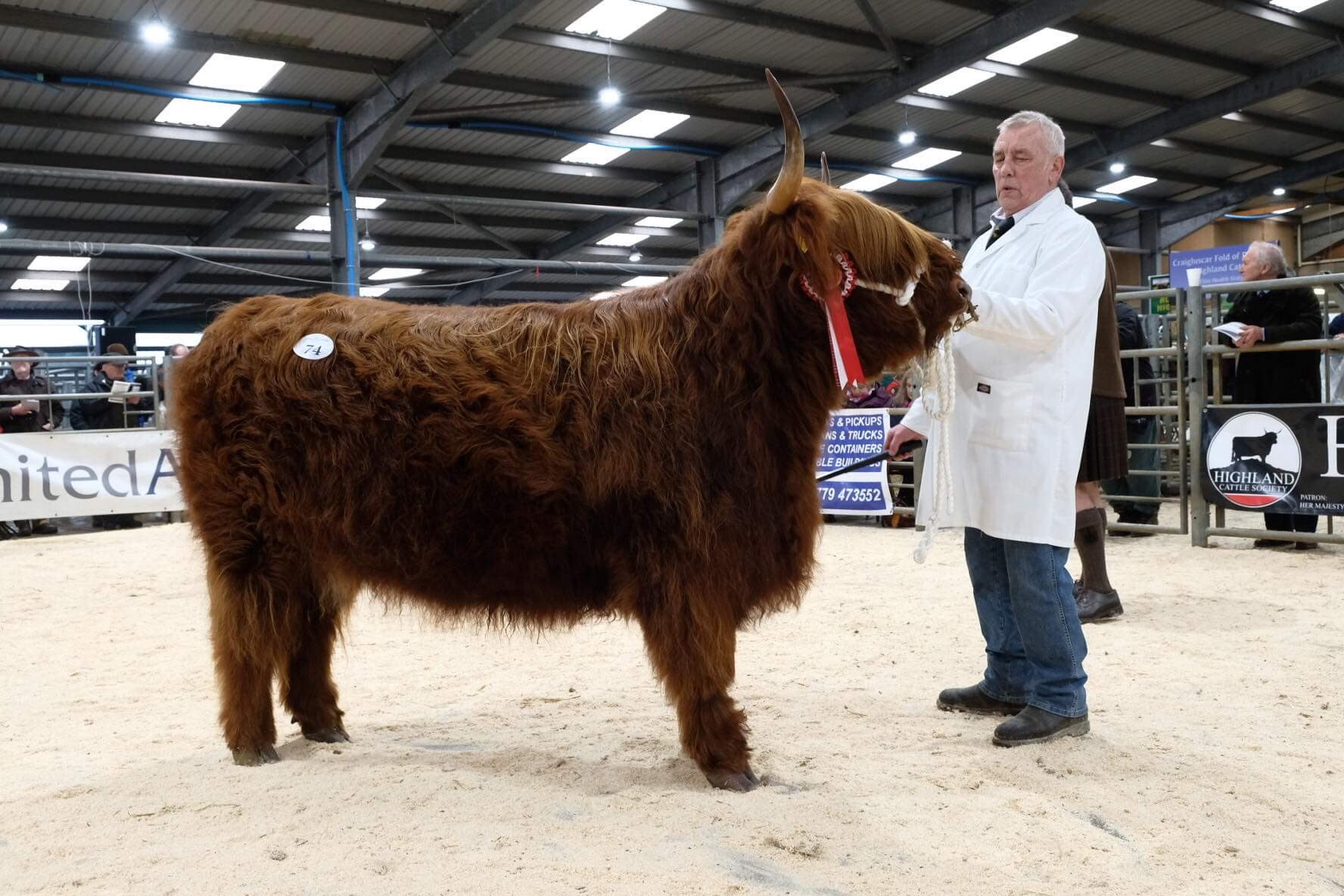 Highland Cattle Society