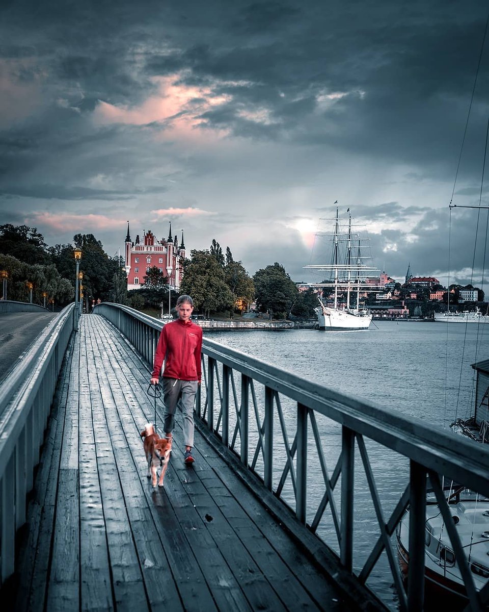 Fun Fact❗

Stockholm is sometimes called the ‘Venice of the North’

Do you know why?
🗣It refers to its beautiful #buildings and #architecture surrounded open #water and parks
📷 <a href="/sthlm360/">Stocholm360 Dot net</a>