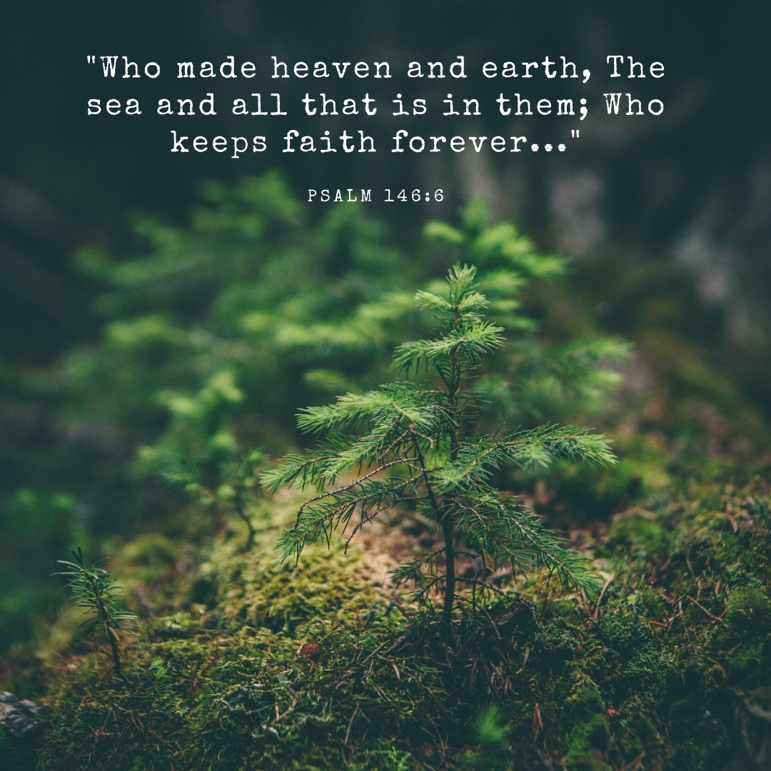 ChristianBC18's tweet photo. https://t.co/srCQCEsawZ