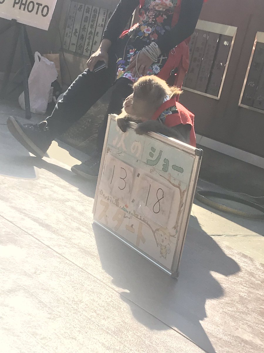 折原 深緒莉 東京に帰ってきたぁ 日常が始まるーーー 熱海では お猿さんのちぃちゃんに出会ったり 梅園をみたり 素敵なカフェと出会ったり 素敵な出会いが沢山でした おさるのちいちゃん えんげいふぁくとりー 熱海梅園 折原 深緒莉 東京に帰ってきたぁ 日常が始まるーーー 熱海では お猿さんのちぃちゃんに出会ったり 梅園をみたり 素敵なカフェと出会ったり 素敵な出会いが沢山でした おさるのちいちゃん えんげいふぁくとりー 熱海梅園