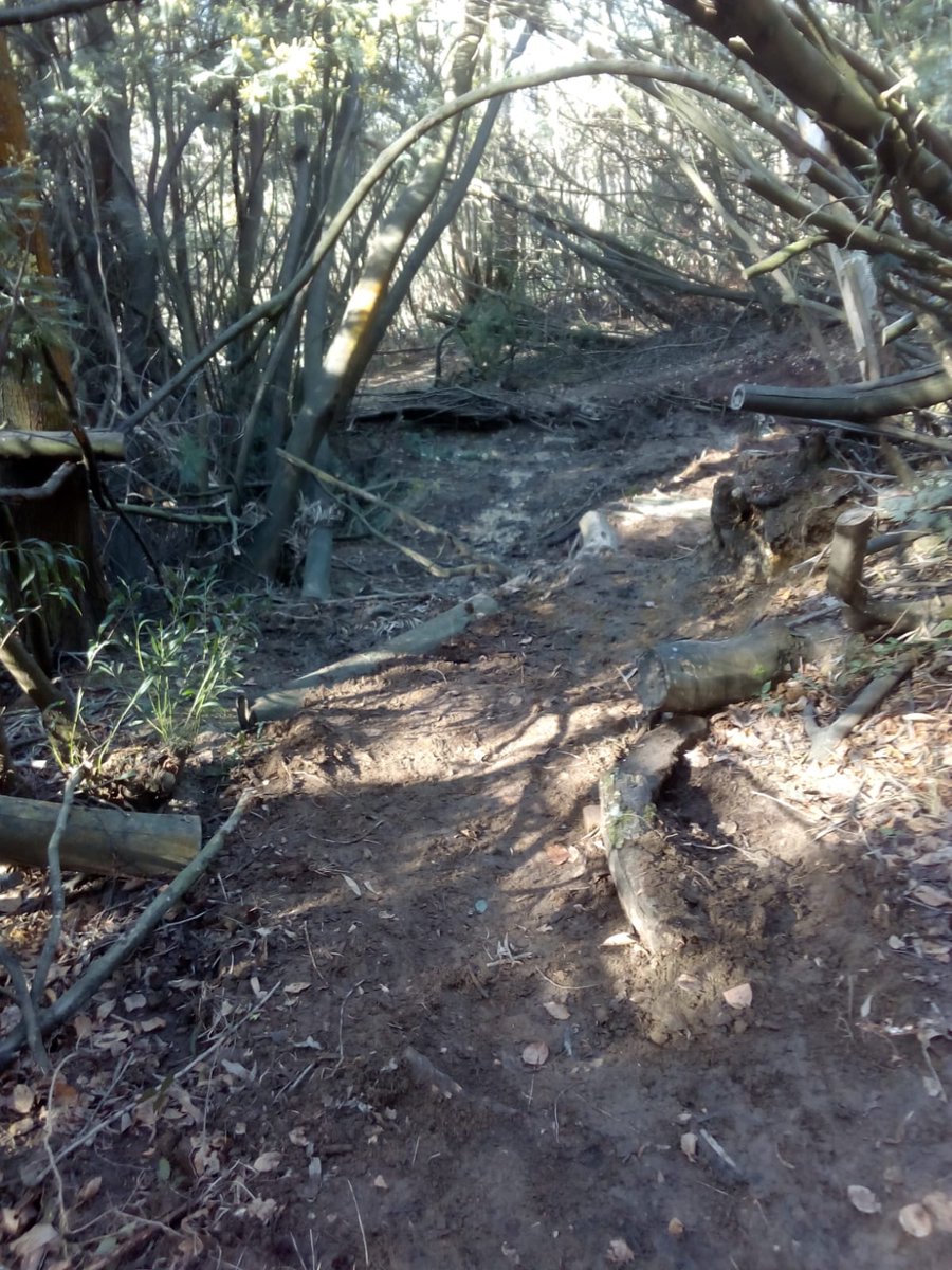 Aunque falta mucho para el comienzo de Green Series Challenge XCO el 5 de Abril 📆.

Nuestros compañeros de #Bilbao ya tienen el circuito preparado...

‼️Se nota que hay ganas de XCO‼️