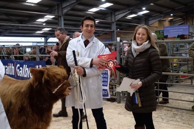 Section 8 - yearling heifers

Class 17 - section 8

1. Lot 131 - Clara Zoe of Chedley 
The Chedley fold ltd