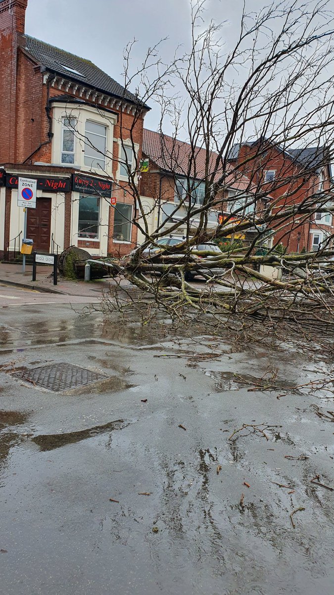 Monz1974's tweet photo. Musters Road in West Bridgford. #windy #Ciara @nottslive https://t.co/iY0fwvwghq