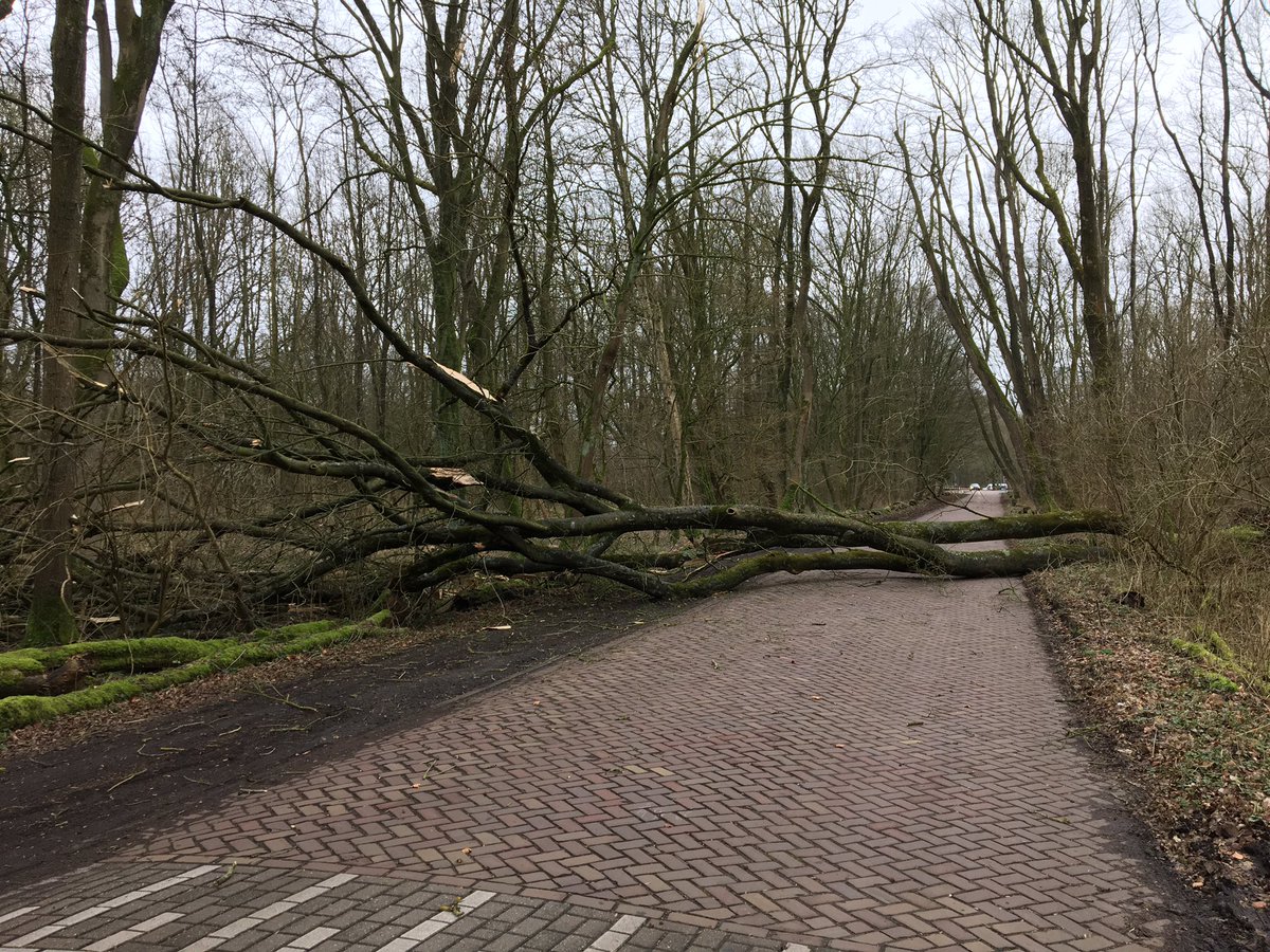 Voor u en onze veiligheid wordt het Kralingse bos afgesloten, bomen over de pr. Beatrixlaan en losse takken maken het gevaarlijk.