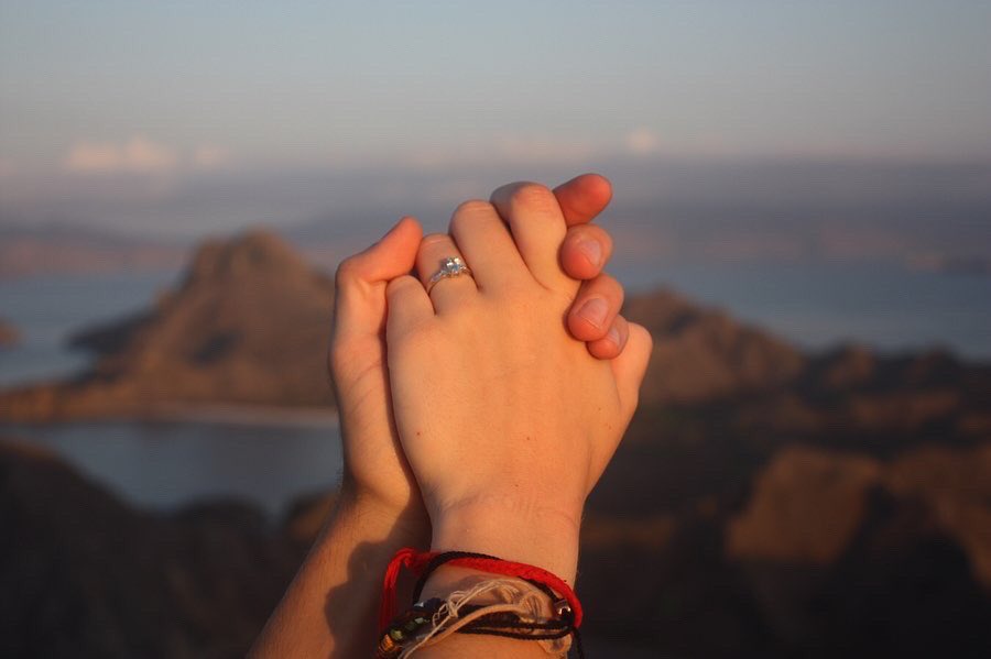 Savannah Crowder tweet media