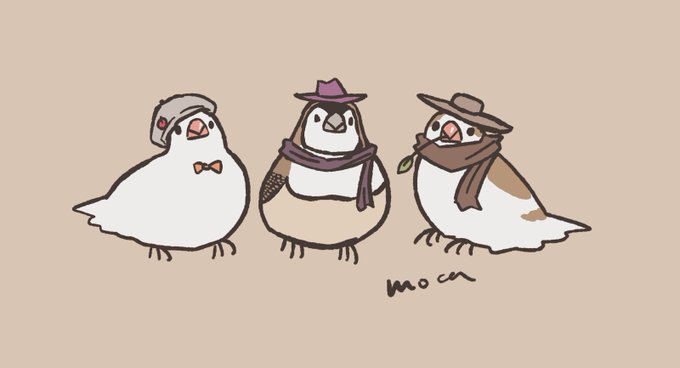 ジュウシマツのtwitterイラスト検索結果 古い順