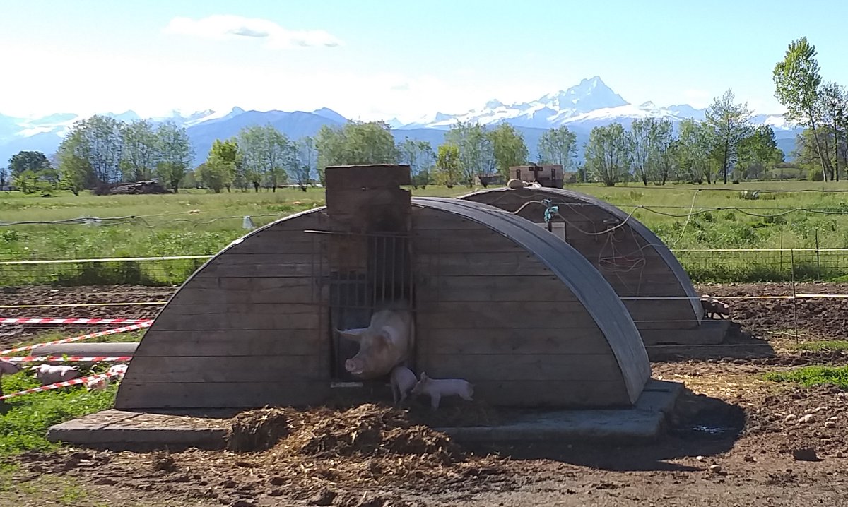 per fare il sapore ci vogliono tradizione, qualità, duro lavoro. Il sapore vero non ha marketing #piemonte #langhe #monferrato #altopiemonte #collitortonesi