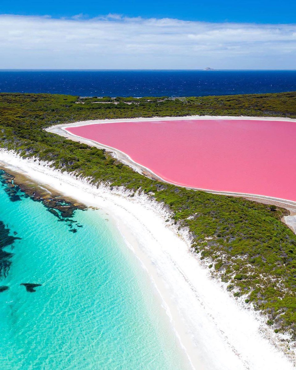 Dreaming of the sun? The diverse colour of Lake Hillier, just off the coast of Esperance in Western Australia, is ready for you to #RediscoverAustralia 🏖 

📸 by MKZimagery