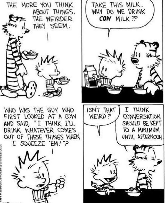 Calvin and Hobbes Fan Account tweet media