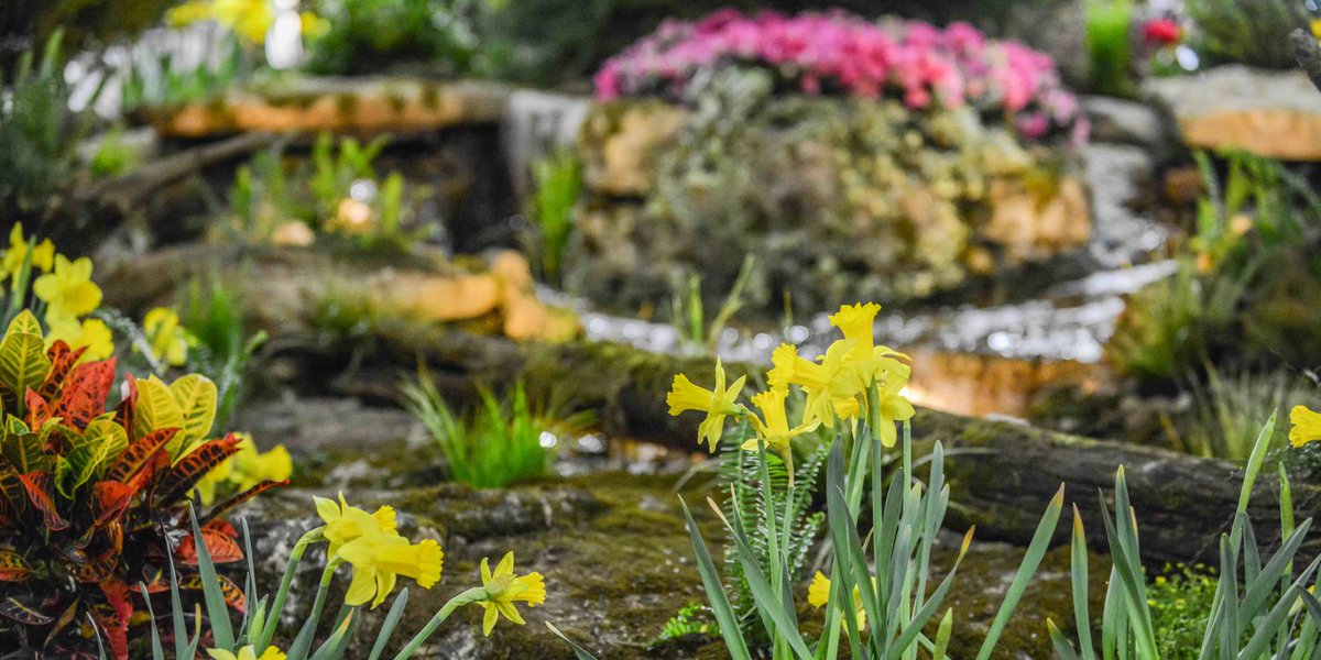 Don't miss out! We have incredible exhibitors this year—and they are all ready to answer your questions and help you achieve your dream home!  From kitchens and bathrooms to decks and gardens, you’ll walk away with plenty of ideas! 
bit.ly/2HGy2s6