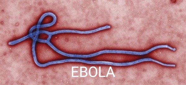_GrayDorian's tweet photo. I peggiori virus di sempre.
#coronavirus #coronavirusitalia https://t.co/2wzTfYudf9