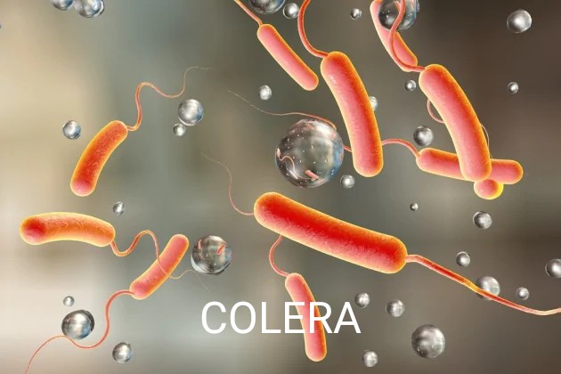 _GrayDorian's tweet photo. I peggiori virus di sempre.
#coronavirus #coronavirusitalia https://t.co/2wzTfYudf9
