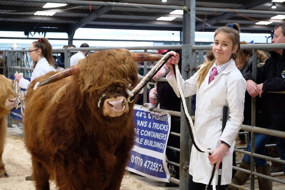 Best Young Handler over 13
And overall champion young handler
Emily Armstrong