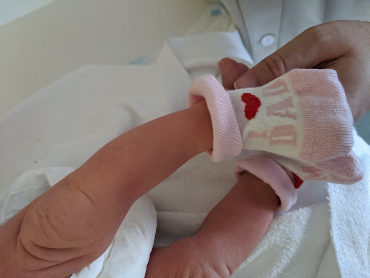 elgranmaldito's tweet photo. 1 semana ya... No se me puede caer mas la baba... #PapiOrgulloso https://t.co/HRTmoET3TO