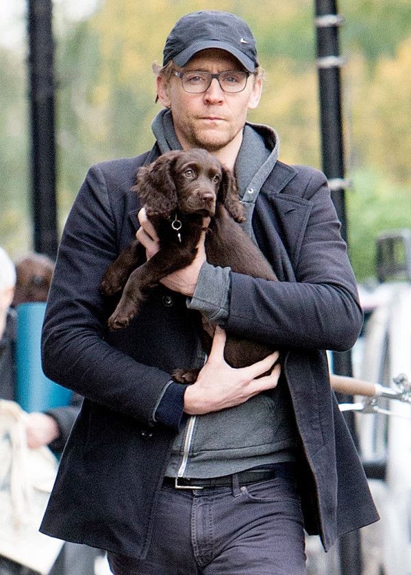 Happy Birthday Tom Hiddleston! 
